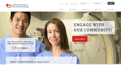 Desktop Screenshot of caic-acci.org